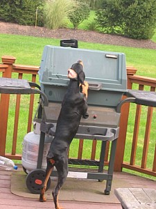 2006-09-28 20-46-51210.jpg