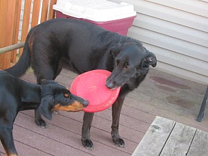 2006-10-04 02-17-58208.jpg