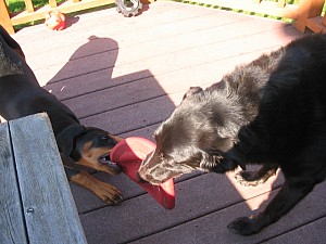 2006-10-04 02-18-11207.jpg