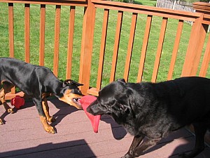 2006-10-04 02-18-26206.jpg