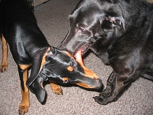 2006-10-10 20-12-55171.jpg