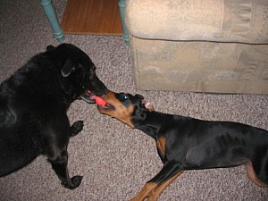 2006-10-10 20-13-49170.jpg