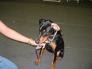 2006-10-11 07-00-22168.jpg