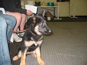 2006-10-11 07-06-29167.jpg