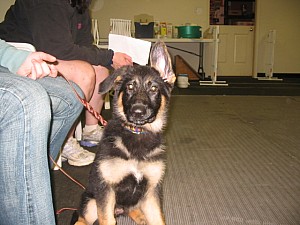 2006-10-11 07-06-37166.jpg