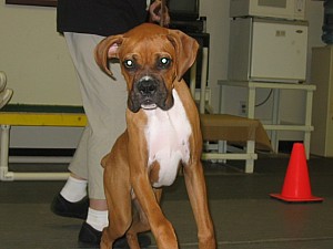 2006-10-11 07-13-50164.jpg