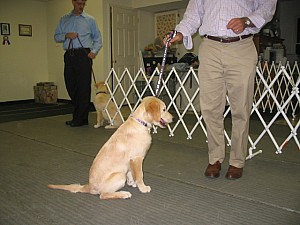 2006-10-11 07-32-31161.jpg