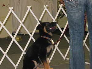 2006-10-11 07-35-58160.jpg