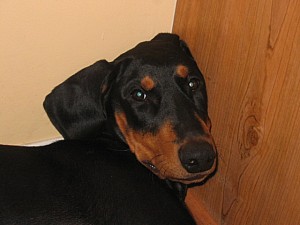 2006-10-12 02-53-00159.jpg