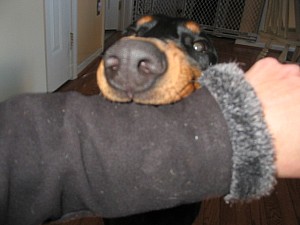 2006-10-27 03-10-47158.jpg