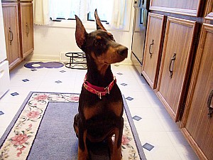 2006-10-27 22-14-25156.jpg