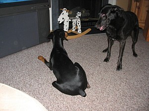 2006-10-29 02-45-29154.jpg