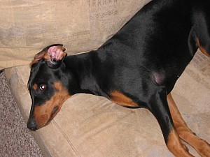 2006-10-29 02-46-53153.jpg