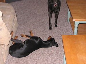 2006-10-29 02-48-22150.jpg