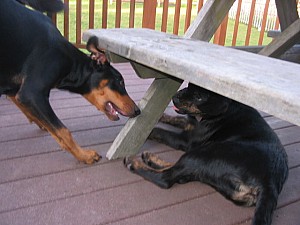 2006-11-11 03-59-02139.jpg