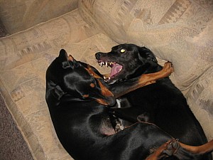 2006-11-12 07-59-06133.jpg