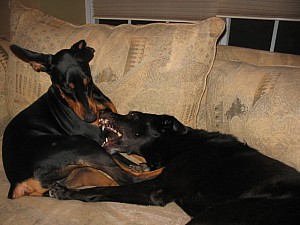 2006-11-12 08-00-57131.jpg