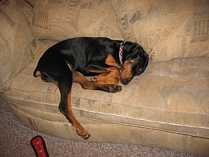 2006-11-16 05-52-58126.jpg