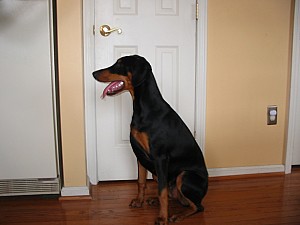 2006-11-24 02-38-44123.jpg