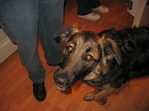 2006-11-24 06-45-02117.jpg