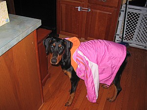 2006-12-06 02-28-37113.jpg