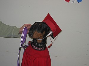 2006-12-06 08-07-33112.jpg