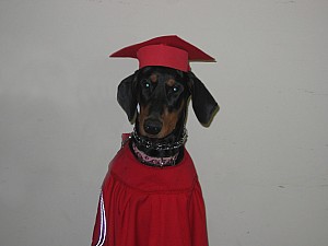 2006-12-06 08-07-40111.jpg