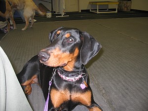 2006-12-06 08-12-47110.jpg