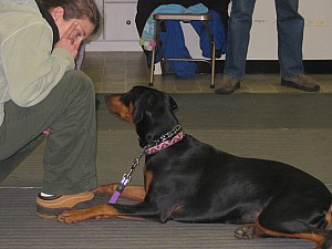 2006-12-06 08-39-39108.jpg