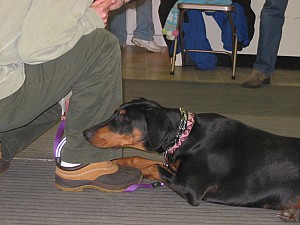 2006-12-06 08-40-42106.jpg