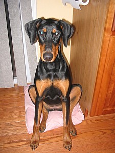 2006-12-09 07-06-21105.jpg