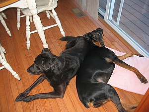 2006-12-11 03-30-08104.jpg