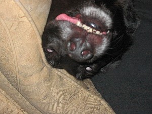 2006-12-12 09-13-28103.jpg