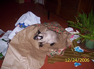 2006-12-24 14-14-1295.JPG