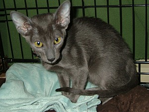 2008-03-03 14-44-5687.JPG