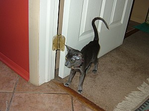 2008-03-09 11-57-0685.JPG