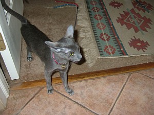 2008-03-09 11-58-5884.JPG