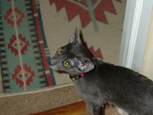 2008-03-09 12-01-3083.JPG