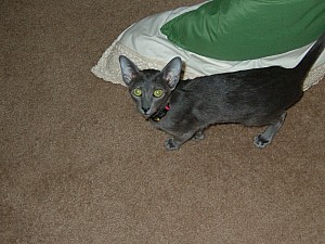 2008-03-10 16-51-3880.JPG