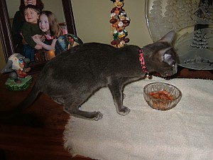 2008-03-12 17-07-0372.JPG