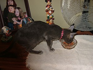 2008-03-12 17-07-0671.JPG