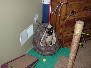 2008-03-14 16-08-5470.JPG