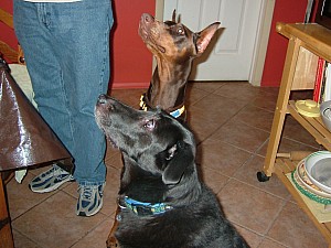 2008-03-21 21-26-5356.JPG