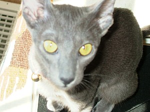 2008-03-23 12-48-1850.JPG