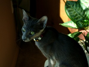 2008-03-23 12-49-4349.JPG