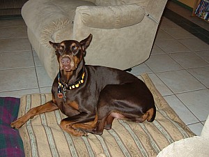 2008-04-12 10-44-5247.JPG