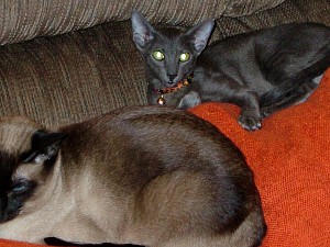 2008-04-15 14-43-2040.JPG