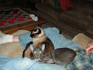 2008-05-06 18-55-1630.JPG